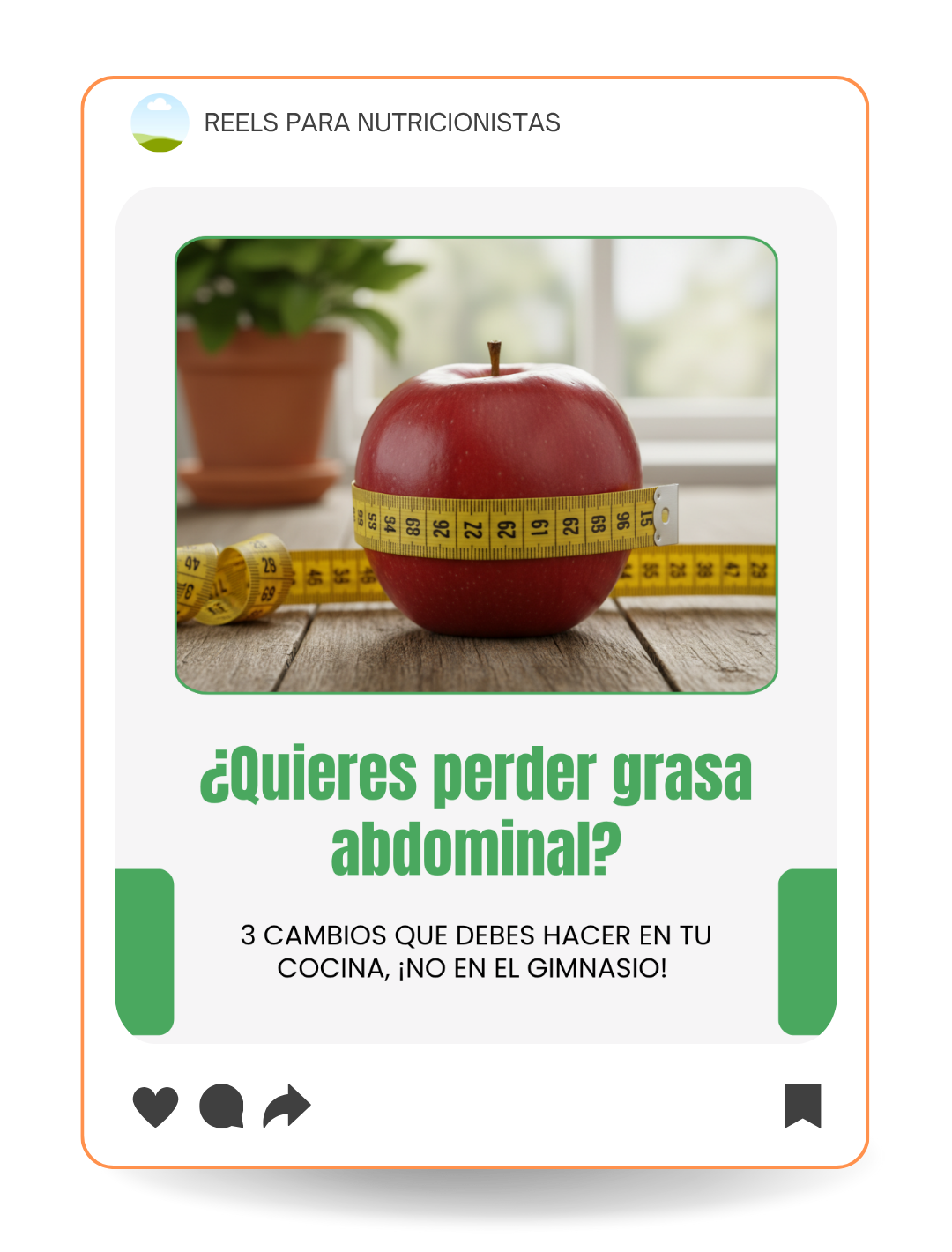 Plantilla Feed 1