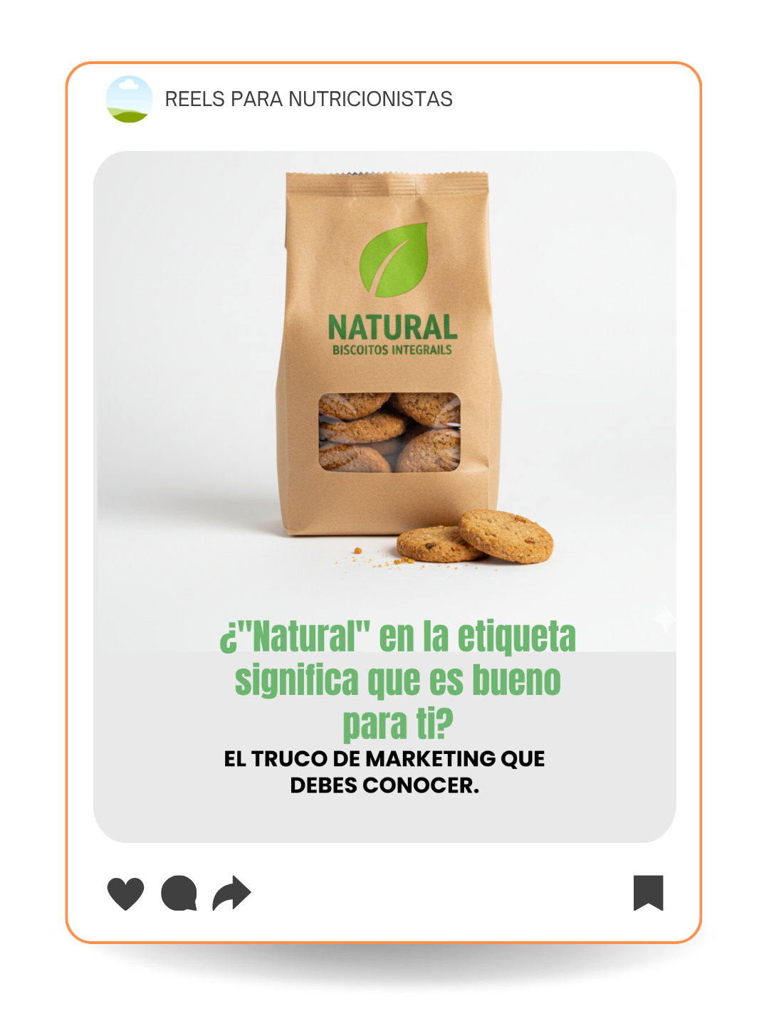Plantilla Feed 3