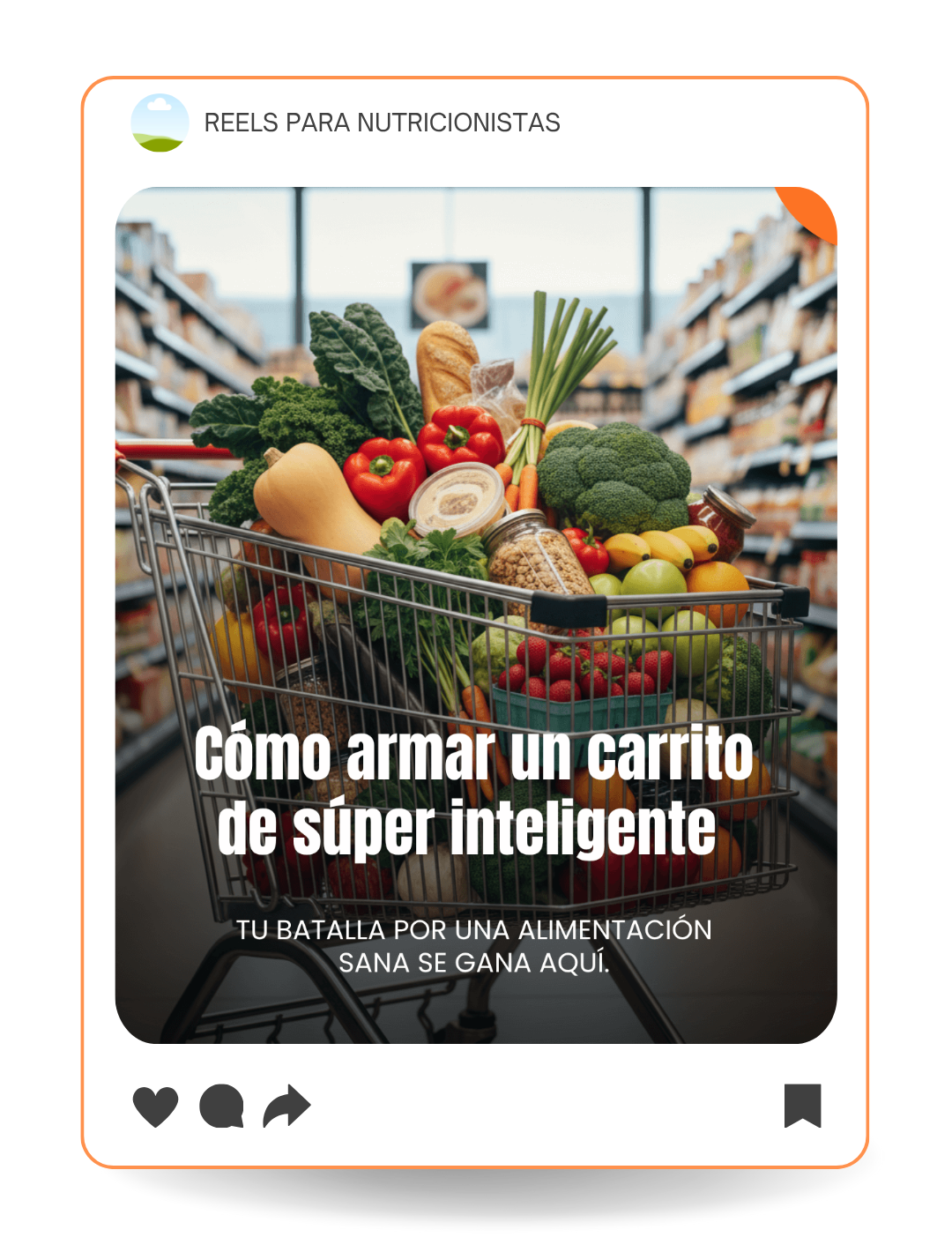 Plantilla Feed 4