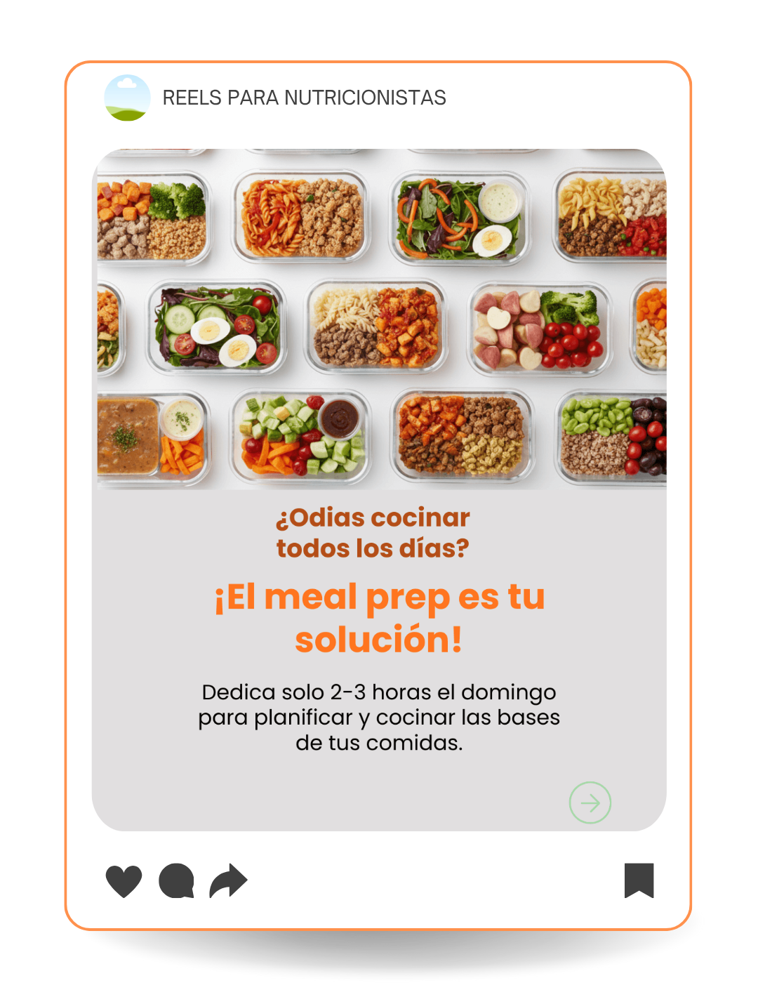 Plantilla Feed 6